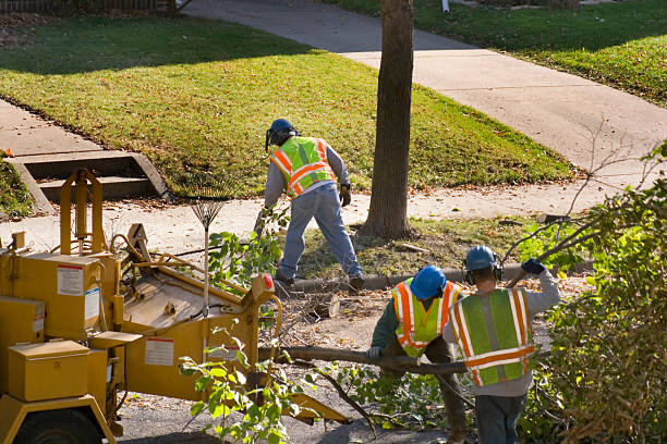 Seasonal Cleanup (Spring/Fall) in Rio, VA