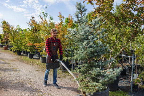 Best Fruit Tree Pruning  in Rio, VA